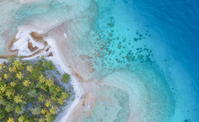 Les Perles du Pacifique