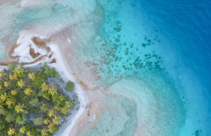 Les Perles du Pacifique